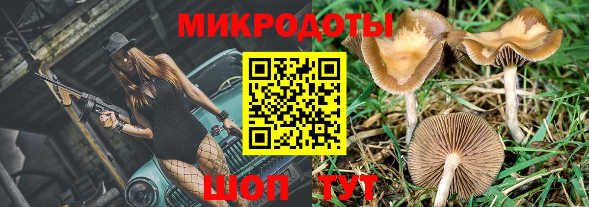 Галлюциногенные грибы прущие грибы Вятские Поляны